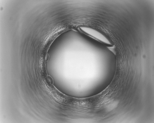 X0000054470735200508270129