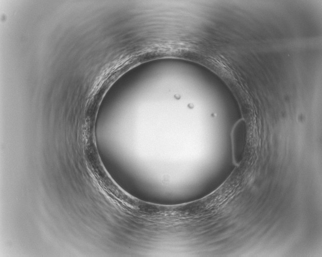 X0000054470736200508270129