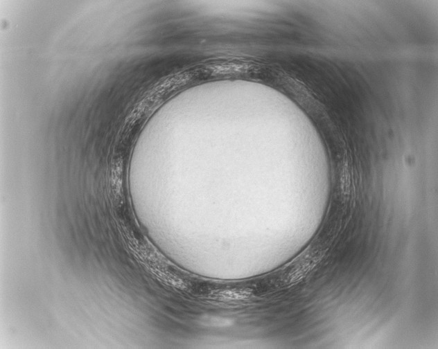 X0000054470737200508270129