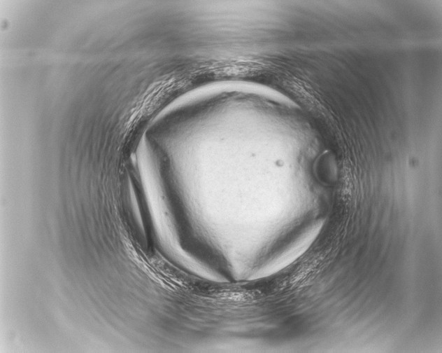 X0000054470738200508270129