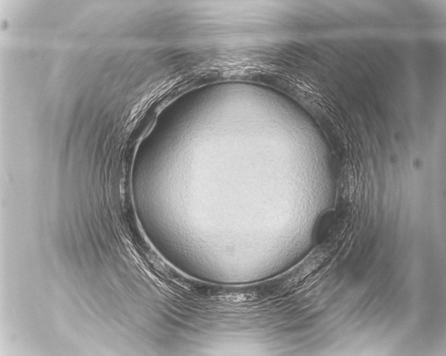 X0000054470740200508270129