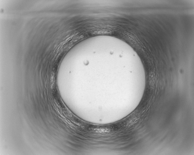 X0000054470741200508270129