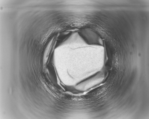 X0000054470742200508270129