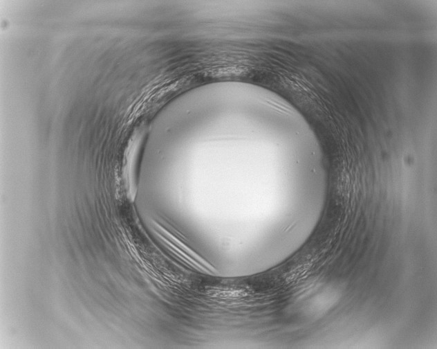 X0000054470743200508270129