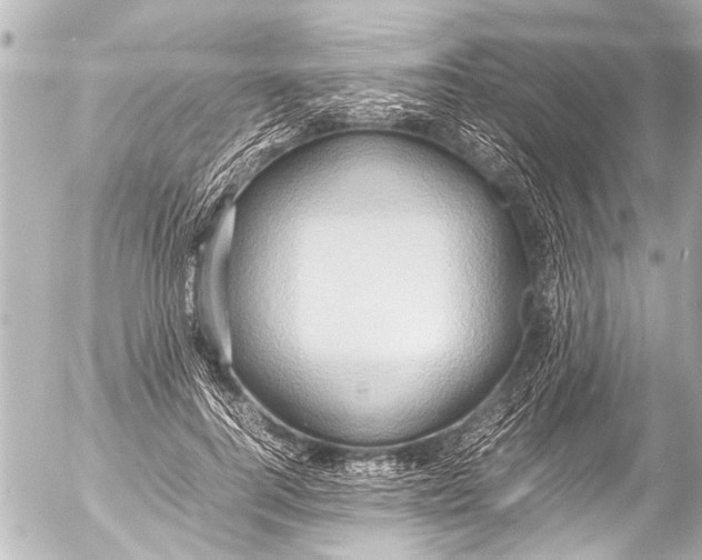 X0000054470744200508270129