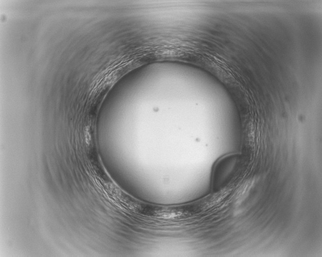 X0000054470746200508270129