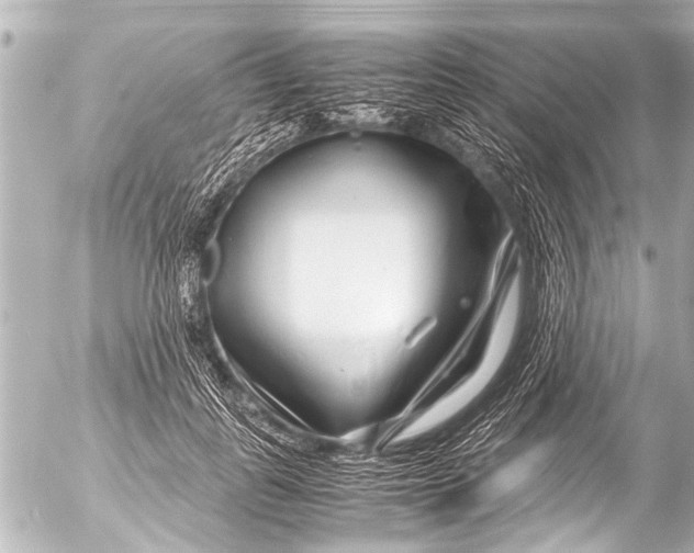 X0000054470747200508270129