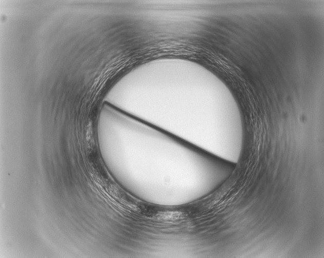 X0000054470748200508270129