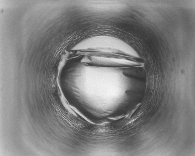 X0000054470750200508270129