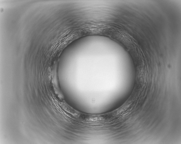 X0000054470752200508270129