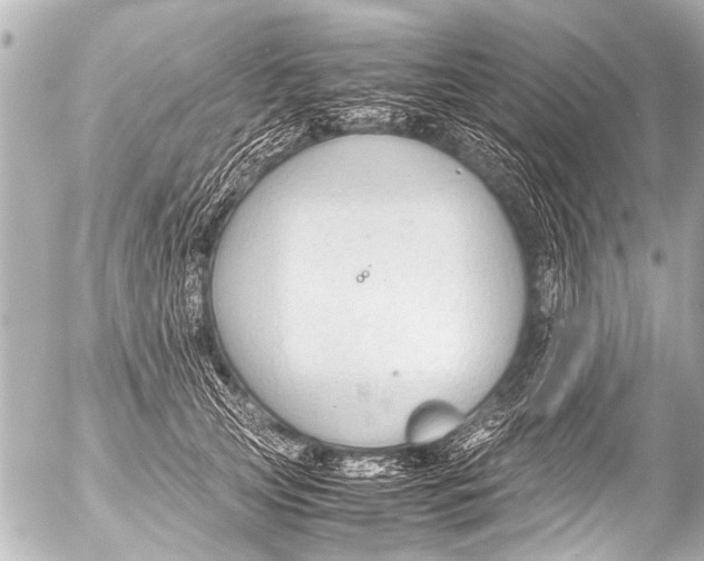 X0000054470753200508270129