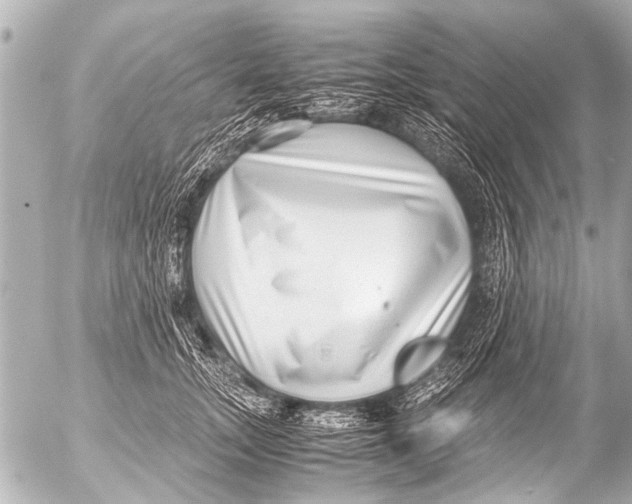 X0000054470755200508270129