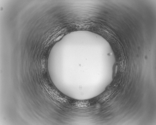 X0000054470756200508270129