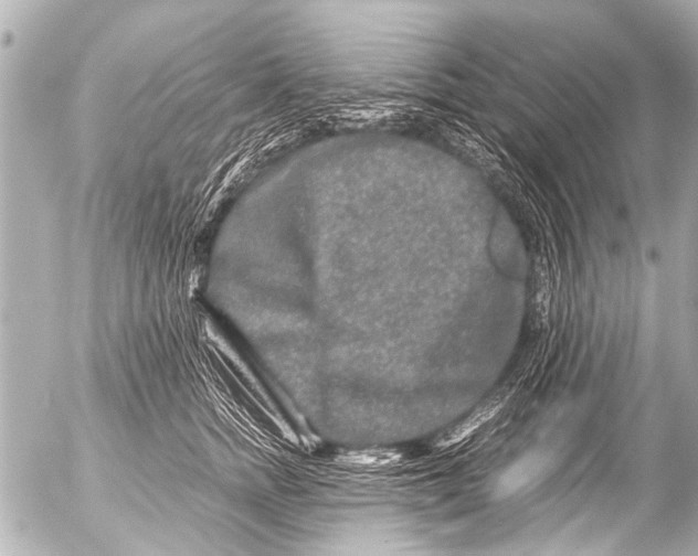 X0000054470758200508270129