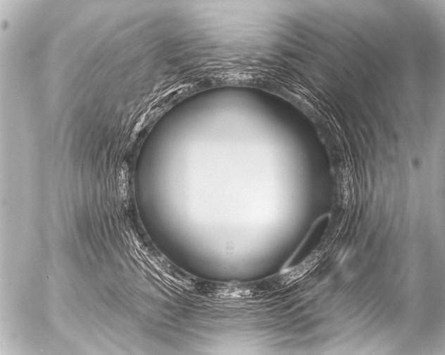 X0000054470760200508270129