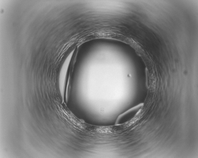 X0000054470762200508270129