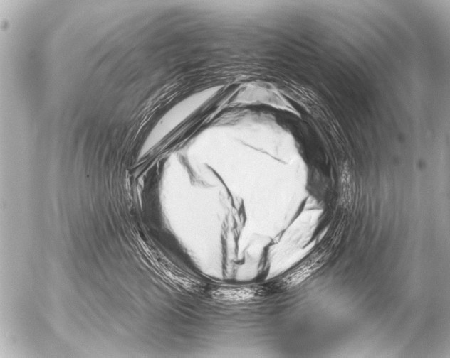 X0000054470765200508270129