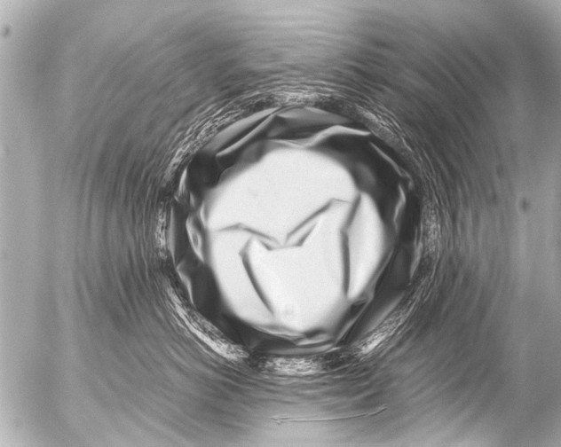 X0000054470766200508270129