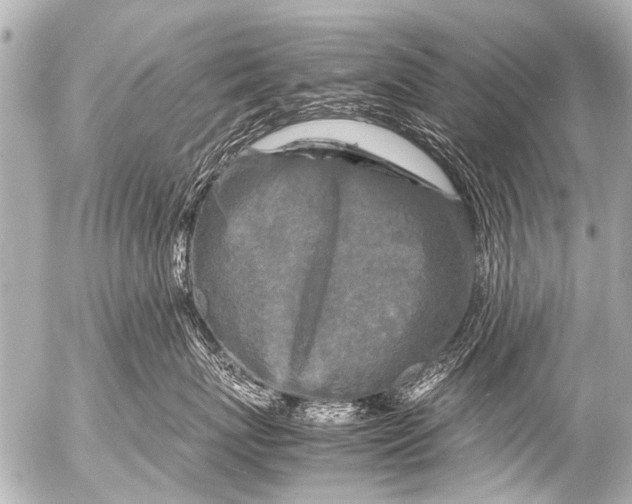 X0000054470767200508270129