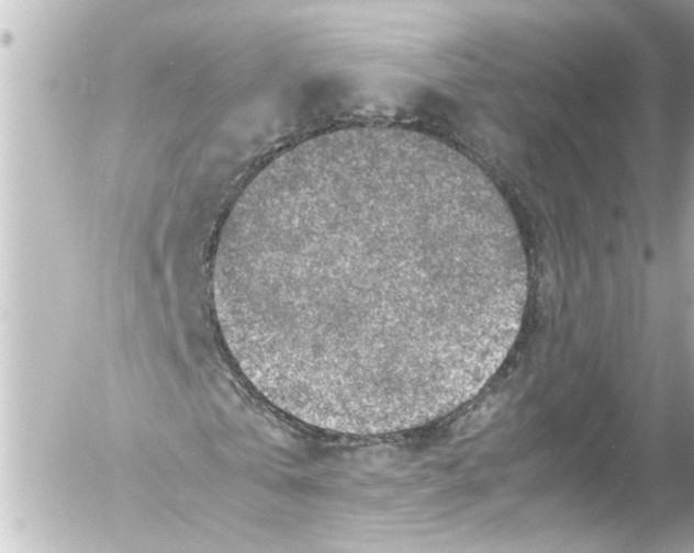 X0000054470769200508270128