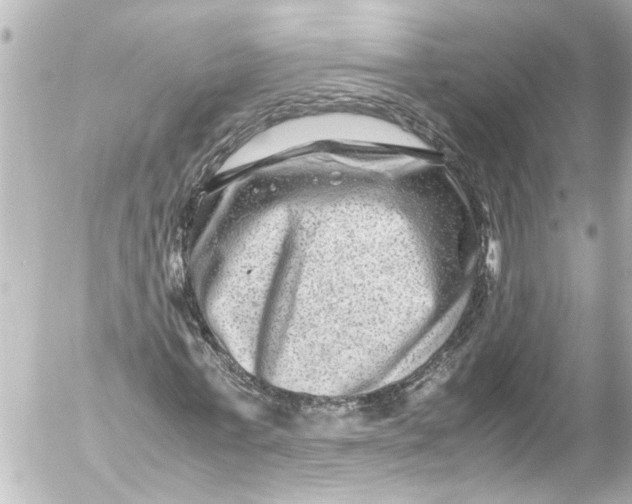 X0000054470771200508270128