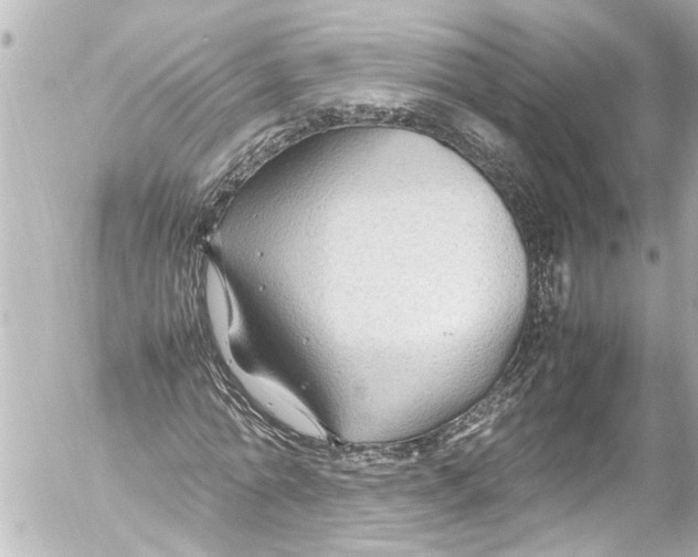 X0000054470774200508270128