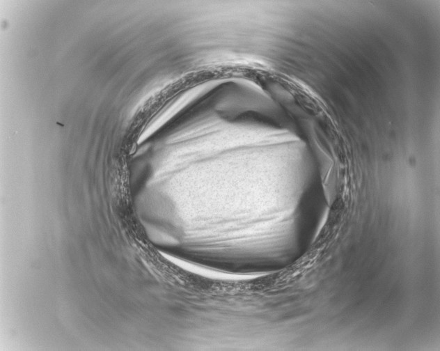 X0000054470775200508270128