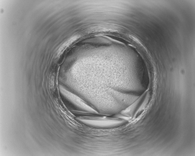 X0000054470777200508270128