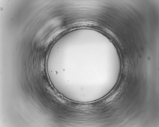 X0000054470778200508270128