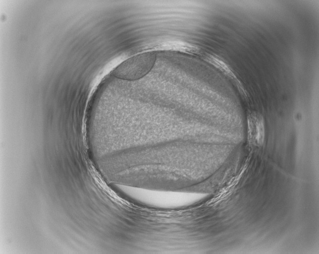 X0000054470780200508270128