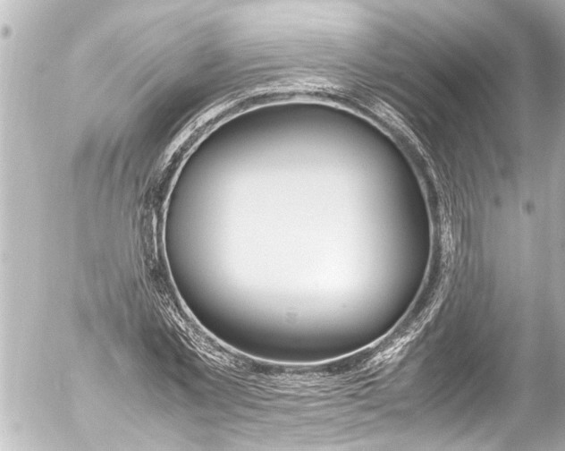 X0000054470781200508270128