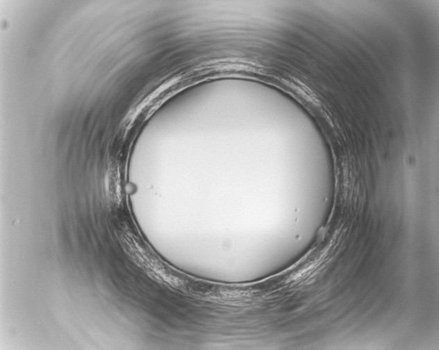 X0000054470782200508270128