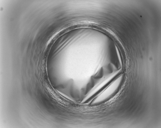 X0000054470783200508270128