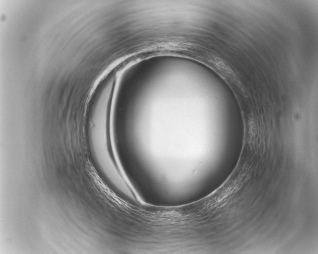 X0000054470784200508270128