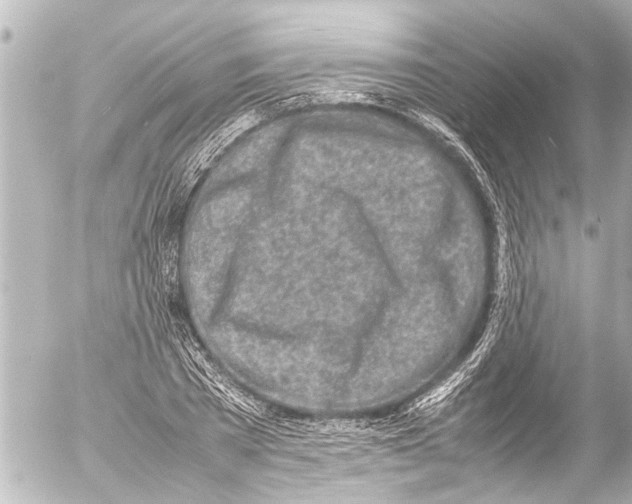 X0000054470785200508270128