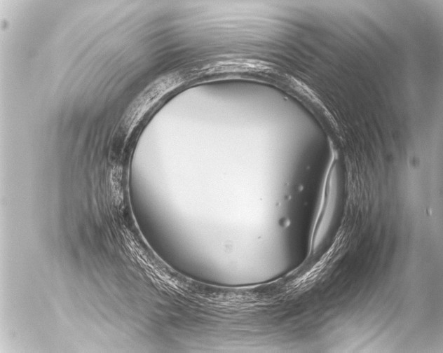 X0000054470786200508270128