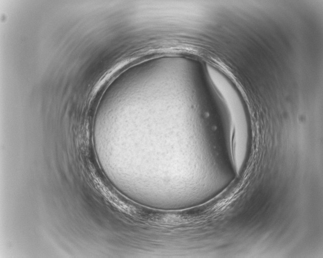 X0000054470787200508270128