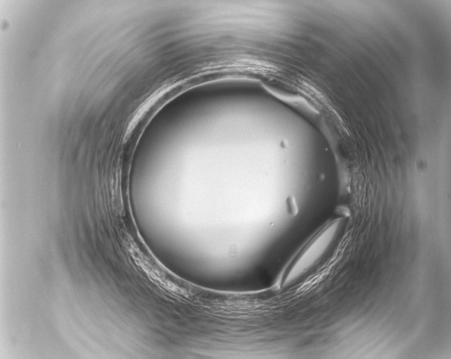 X0000054470788200508270128