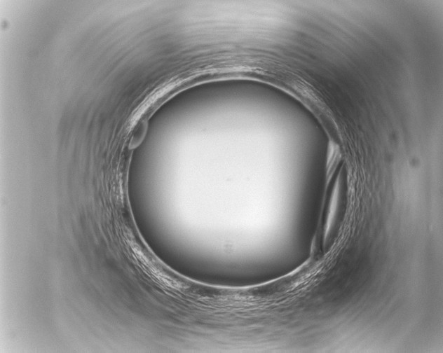 X0000054470789200508270128