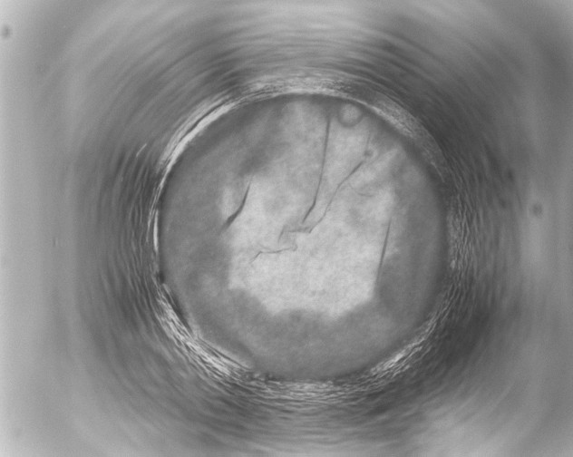 X0000054470790200508270128