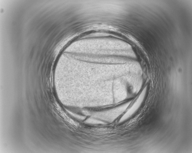 X0000054470791200508270128