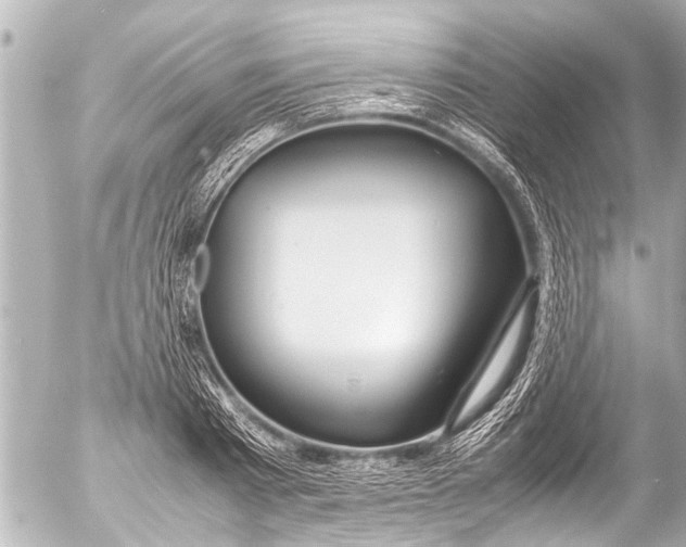 X0000054470793200508270128