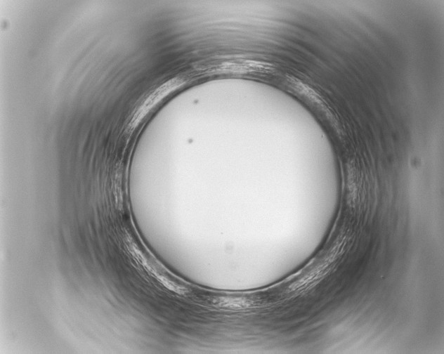 X0000054470794200508270128