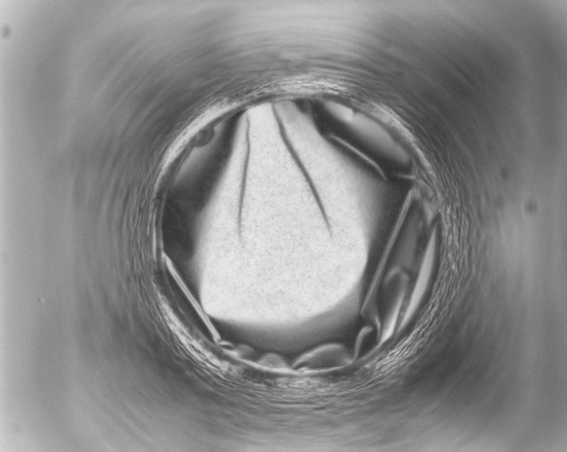 X0000054470795200508270128