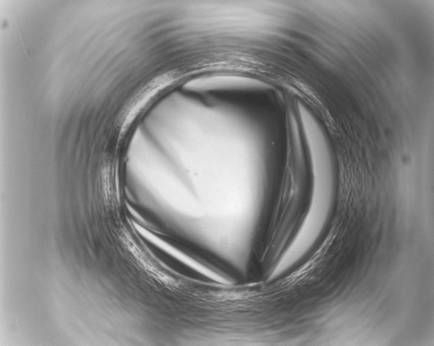 X0000054470796200508270128