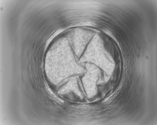 X0000054470797200508270128