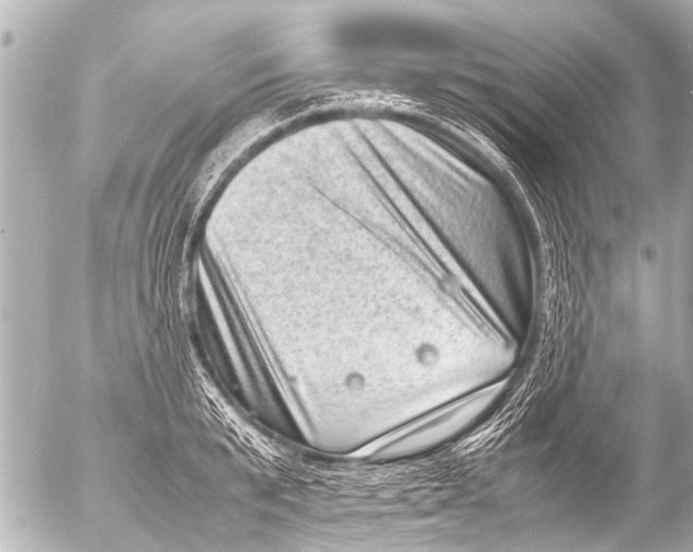 X0000054470799200508270128