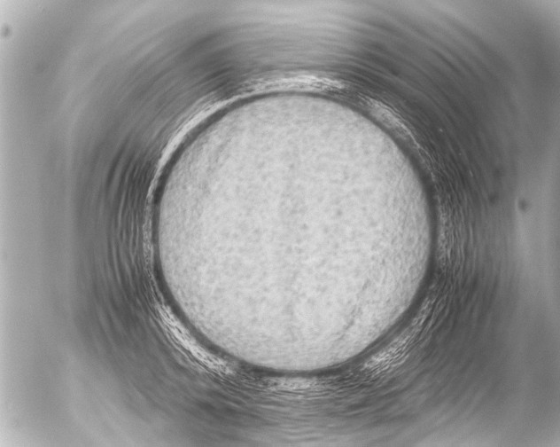 X0000054470800200508270128