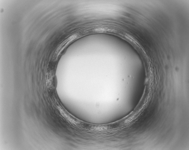 X0000054470801200508270128