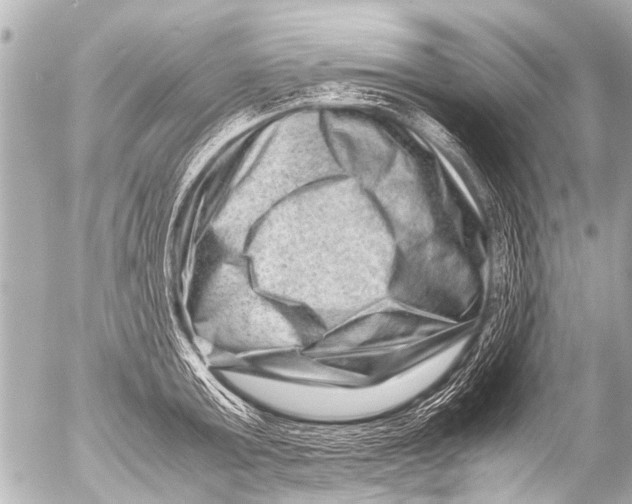 X0000054470803200508270128